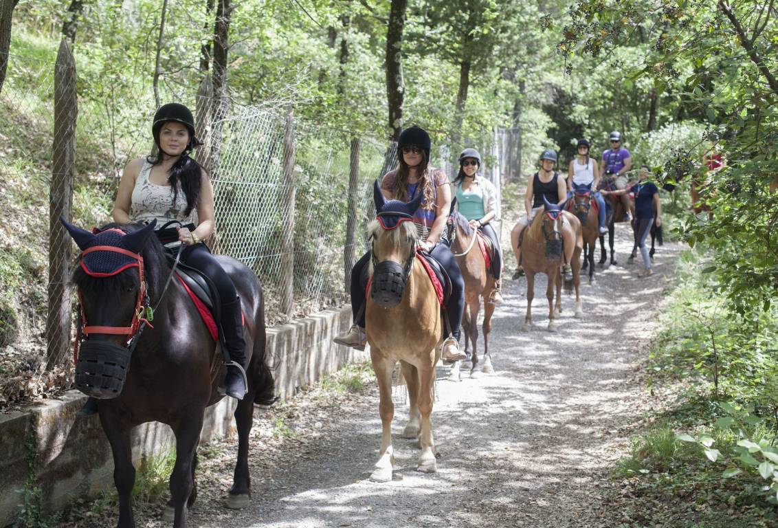 Private Horseback Riding tour in Tuscany