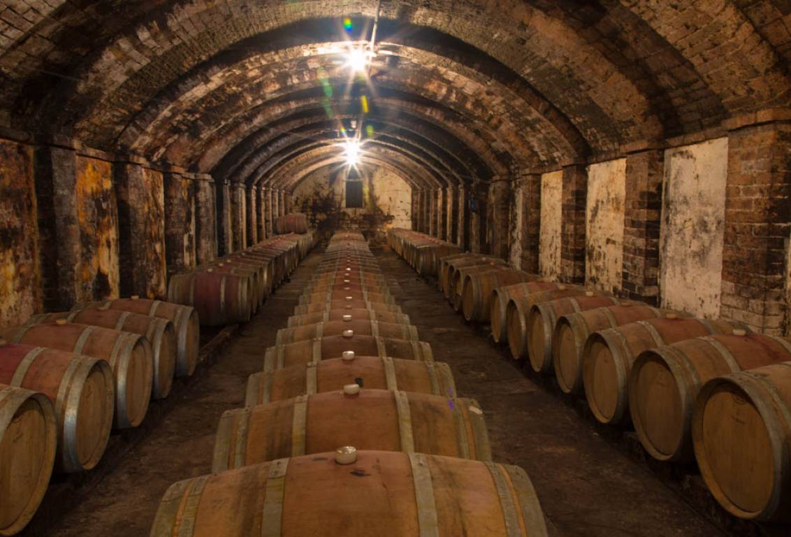 The Tuscan Wines of Pieve de' Pitti – History & Wine