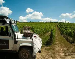 Private Chianti wine tour from Florence