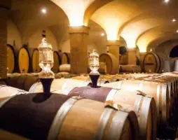 Brunello Wine Tour from Florence | Florencetown