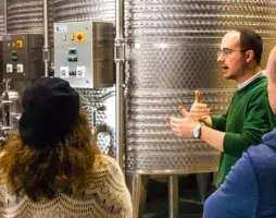 Private wine & olive oil experience in Chianti with pizza & gelato class in Florence