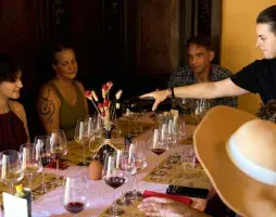 Chianti Wine Tour From Florence With Olive Oil Tasting