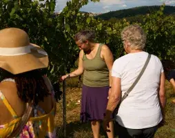 Private Tuscany wine tour from Florence