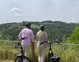 Panoramic e-bike tour 