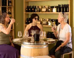 Wine escape from Florence to Chianti 