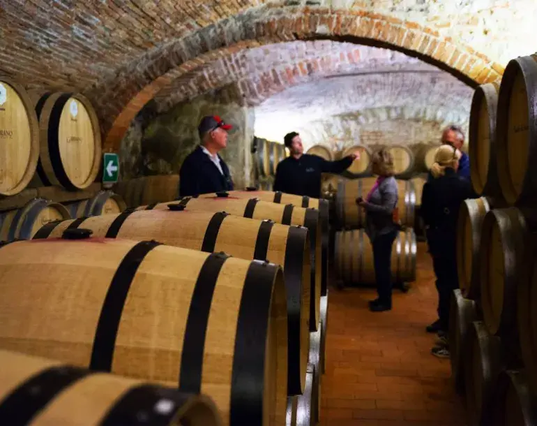 private wine tour of florence: visit three wineries in the tuscan countryside and their wine cellars and learn about the different methods of wine production