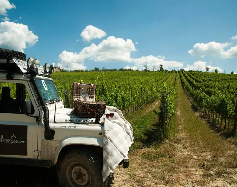 Private Chianti wine tour from Florence