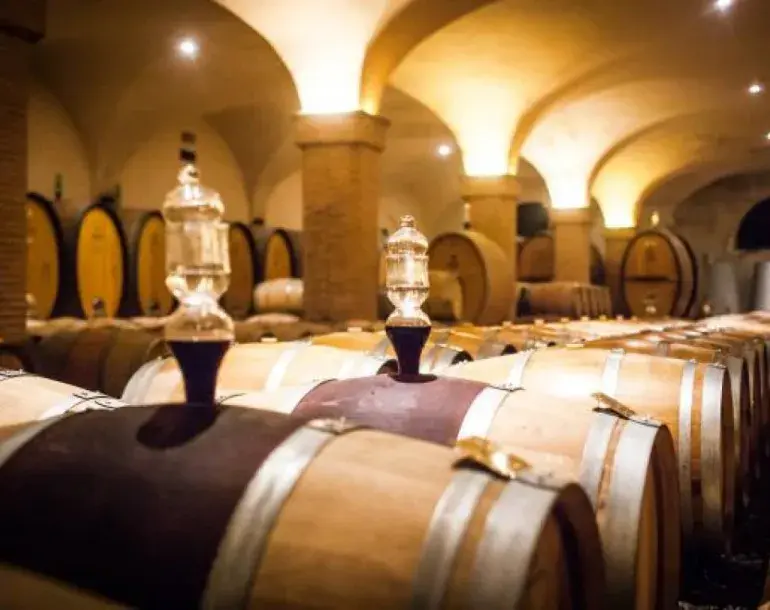 Brunello Wine Tour from Florence | Florencetown