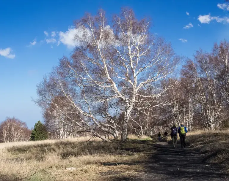 Etna trekking tour
