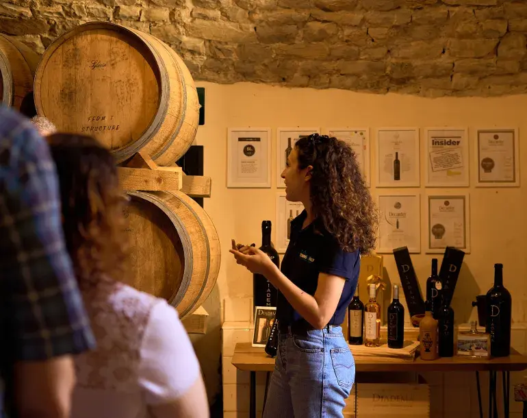 Wine Escape to Chianti from Florence