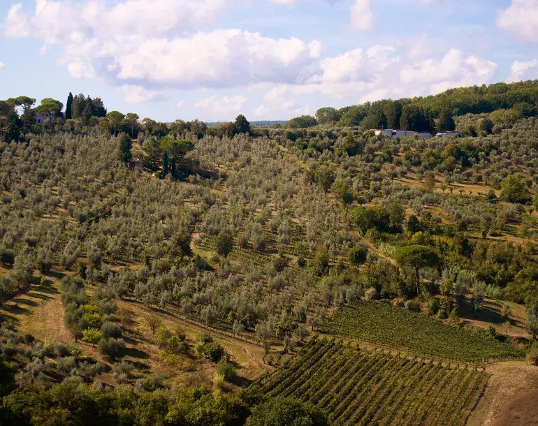 chianti landscape